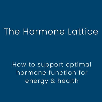The Hormone Lattice | How to support optimal hormonal function for energy & health